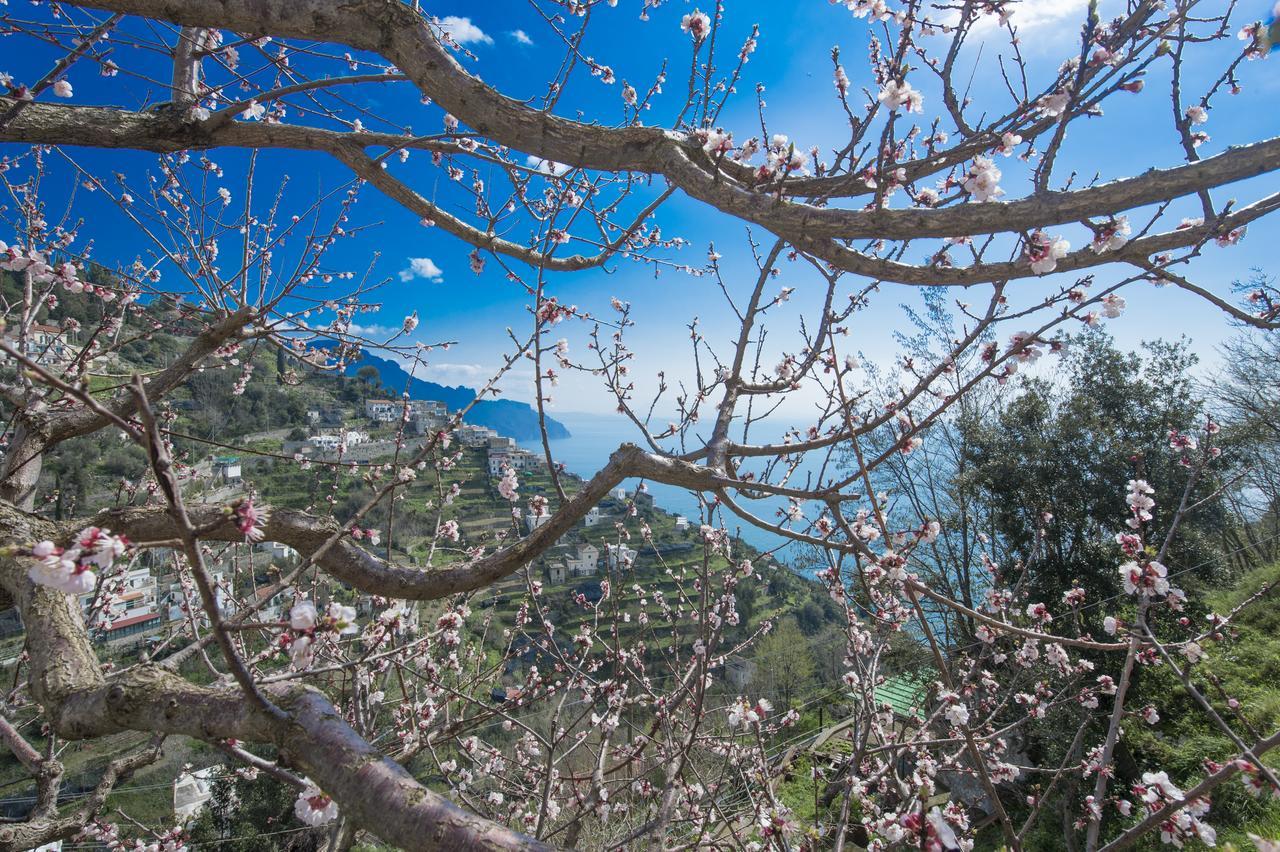 Casa Pina Apartment Amalfi Bagian luar foto