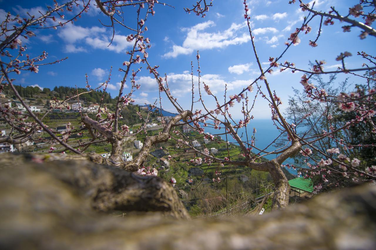 Casa Pina Apartment Amalfi Bagian luar foto